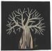baobab tree small